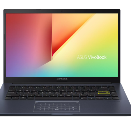 ASUS M413D-BV339T