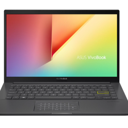 ASUS M413D-BV339T